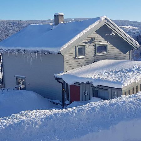 Lille Randklev Gaestehus Ringebu Buitenkant foto
