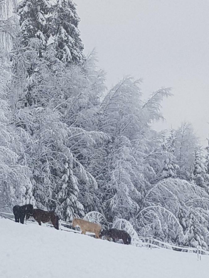 Lille Randklev Gaestehus Ringebu Buitenkant foto